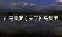 神馬集團（關(guān)于神馬集團的基本情況說明介紹）