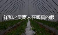 祥和之靈商人在哪真的假的?
