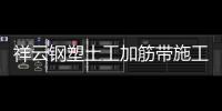 祥云鋼塑土工加筋帶施工方案
