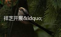 祥芝開(kāi)展“緣在工會(huì)” 戶外聯(lián)誼活動(dòng)