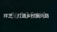 祥芝：打造鄉村振興路 繪就強產興業圖