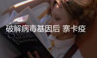 破解病毒基因后 寨卡疫苗還遠(yuǎn)嗎