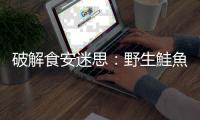 破解食安迷思：野生鮭魚對身體好，養殖鮭魚有害健康？