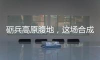 礪兵高原腹地，這場合成營訓(xùn)練“含戰(zhàn)量”滿滿