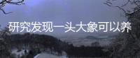 研究發(fā)現(xiàn)一頭大象可以養(yǎng)活東非大草原上超過200萬只蜣螂