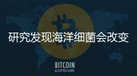 研究發(fā)現(xiàn)海洋細(xì)菌會(huì)改變游泳者皮膚的微生物群