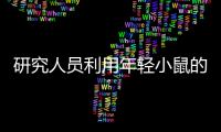 研究人員利用年輕小鼠的血液使老年鼠活得更久