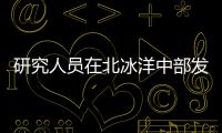 研究人員在北冰洋中部發現意想不到的魚類和烏賊