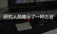 研究人員揭示了一種古老的傷口修復機制