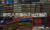 研究人員揭示了治療耐藥性腦癌的有希望的治療目標