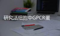 研究活細(xì)胞中GPCR蛋白相互作用