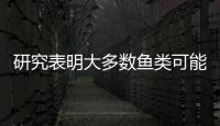 研究表明大多數(shù)魚類可能使用聲音來“交流”