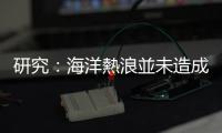 研究：海洋熱浪並未造成魚(yú)類(lèi)數(shù)量明顯減少
