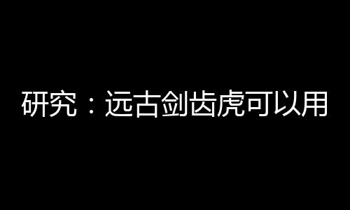研究：遠古劍齒虎可以用牙齒咬碎頭骨