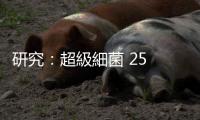 研究：超級細菌 25 年內恐使 3,900 萬人死亡