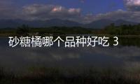 砂糖橘哪個(gè)品種好吃 3種砂糖橘各有優(yōu)點(diǎn)