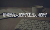 砂糖橘大的好還是小的好 大的果肉會帶渣