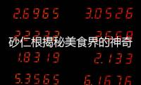 砂仁根揭秘美食界的神奇之物！
