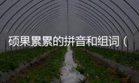 碩果累累的拼音和組詞（碩果累累的拼音）