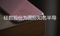 硅數股份為國際知名半導體廠商提供IP授權及芯片設計服務業務