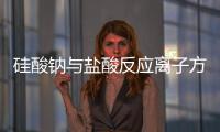 硅酸鈉與鹽酸反應(yīng)離子方程式 硅酸鈉和稀鹽酸的離子方程式