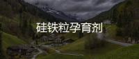 硅鐵粒孕育劑