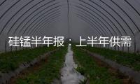 硅錳半年報：上半年供需難平衡下半年或猛市難現