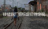 硅錳鋼廠招標(biāo)定價(jià)待定現(xiàn)貨市場(chǎng)價(jià)格盤整觀望