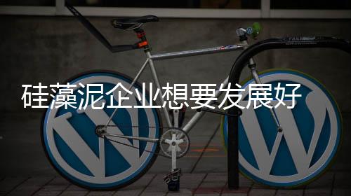 硅藻泥企業想要發展好 渠道建設和品牌建設不可缺
