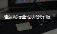 硅藻泥行業現狀分析 服務體系有所欠缺