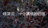 硅藻泥，一個滿意的歸宿?