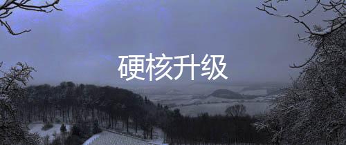 硬核升級