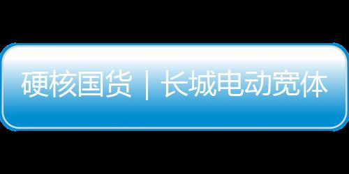 硬核國貨｜長城電動寬體車GT105E：智穩(wěn)兼?zhèn)洌残袩o憂
