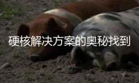 硬核解決方案的奧秘找到了!魏德米勒帶你一起披荊斬棘