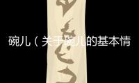 碗兒（關于碗兒的基本情況說明介紹）