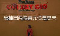 碧桂園兩筆美元債票息未付?內部人士:還存在30天寬限期,未形成實質性違約
