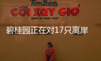 碧桂園正在對17只離岸債券持有人身份識別15只美元債存續(xù)金額近百億美元