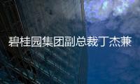 碧桂園集團副總裁丁杰兼任博智林新董事長