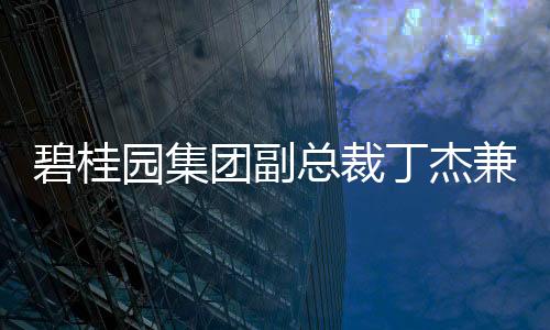 碧桂園集團(tuán)副總裁丁杰兼任博智林新董事長(zhǎng)