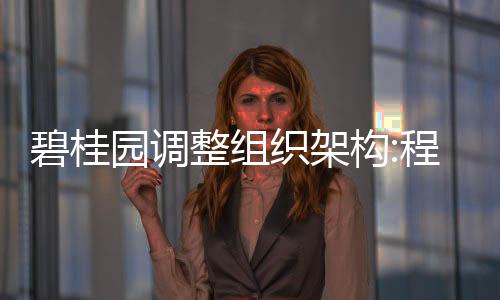 碧桂園調整組織架構:程光煜兼任地產集團CEO、莫斌擔任科技建筑集團董事長