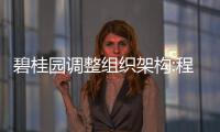 碧桂園調整組織架構:程光煜兼任地產集團CEO、莫斌擔任科技建筑集團董事長