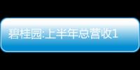 碧桂園:上半年總營收1623.6億元,回款率92%