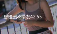 碧桂園&華發(fā)42.55億中標佛山小布村改造項目 面積約為41萬㎡