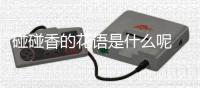 碰碰香的花語是什么呢 碰碰香會開花嗎