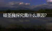碰莖臃探究竟什么原因?