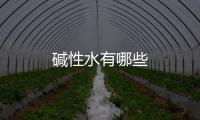 堿性水有哪些