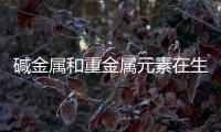 堿金屬和重金屬元素在生物質(zhì)及熱解氣化過程中