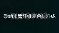 碳納米管纖維復合材料成型系統中標結果公告