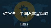 碳纖維—中國汽車品牌向上的龍門還是壁壘？