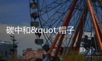碳中和"帽子"滿天飛!發(fā)改委罕見批評